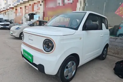 Geely Galaxy Panda · 2024 год