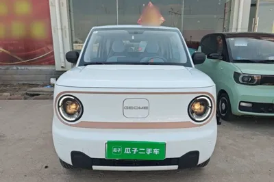 Geely Galaxy Panda 2024, 13899 км, за 6381 USD