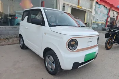 Geely Galaxy Panda 2024, 13899 км, за 6381 USD - фото 12