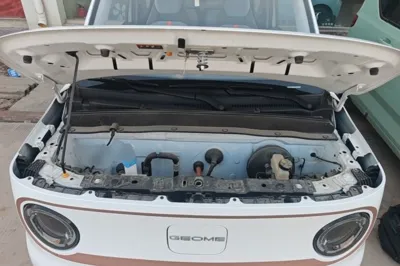 Geely Galaxy Panda 2024, 13899 км, за 6381 USD - фото 30