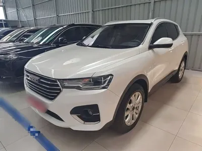 Haval H4 · 2019 год