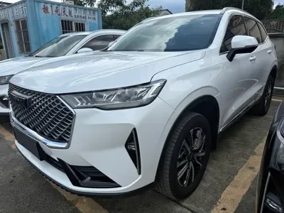 Haval H6 · 2021 год