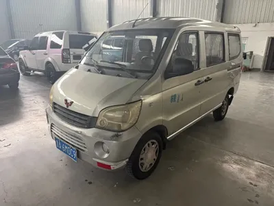 Wuling Zhiguang · 2010 год