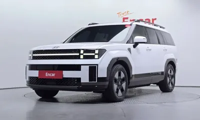 Hyundai Santafe · 2024 год