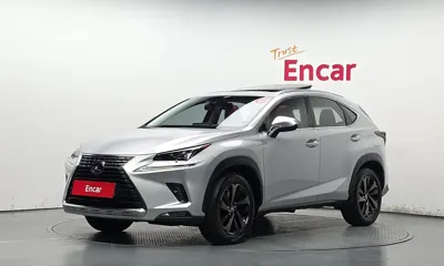 Lexus NX · 2019 год