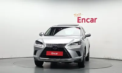 Lexus NX 2019, 99544 км, за 20361.71 USD
