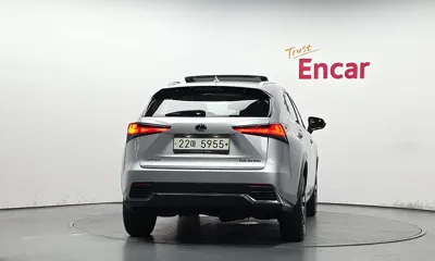 Lexus NX 2019, 99544 км, за 20361.71 USD