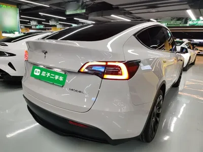Tesla Model Y 2022, 94200 км, за 24014 USD - фото 6