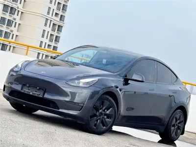 Tesla Model Y · 2024 год