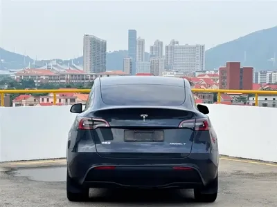 Tesla Model Y 2024, 28000 км, за 30957.91 USD - фото 8
