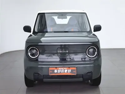 Galaxy Panda 2023, 56900 км, за 3226.8 USD