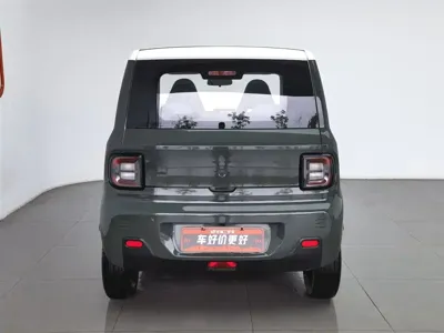 Galaxy Panda 2023, 56900 км, за 3226.8 USD
