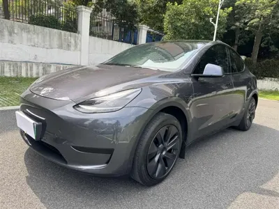 Tesla Model Y · 2024 год