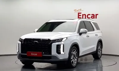 Hyundai Palisade · 2023 год