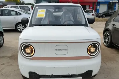 Geely Galaxy Panda 2024, 100 км, за 6795 USD - фото 10