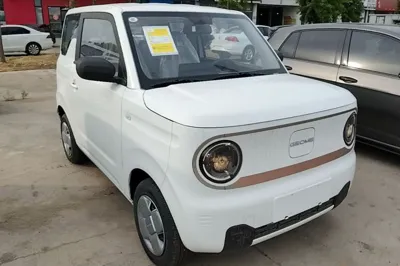 Geely Galaxy Panda 2024, 100 км, за 6795 USD - фото 11