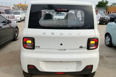 Geely Galaxy Panda 2024, 100 км, за 6795 USD - фото 13