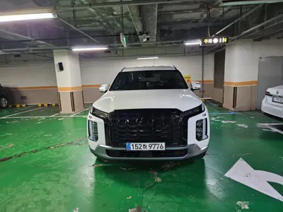 Hyundai Palisade · 2024 год