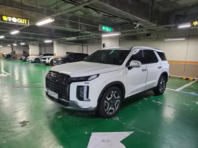 Hyundai Palisade 2024, 31000 км, за 8943.69 USD