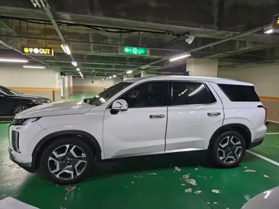 Hyundai Palisade 2024, 31000 км, за 8943.69 USD