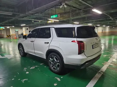 Hyundai Palisade 2024, 31000 км, за 8943.69 USD