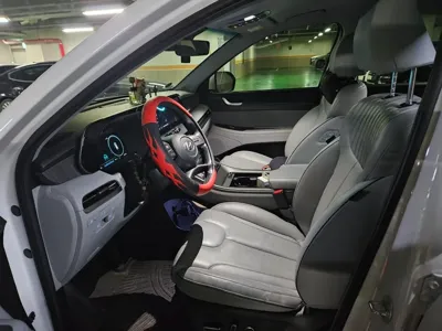 Hyundai Palisade 2024, 31000 км, за 8943.69 USD - фото 14