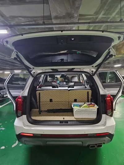 Hyundai Palisade 2024, 31000 км, за 8943.69 USD - фото 18