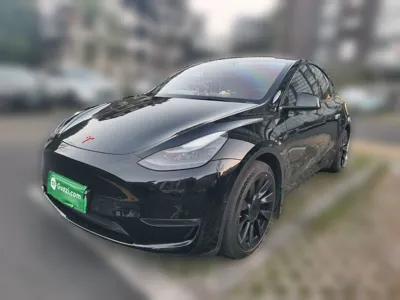 Tesla Model Y · 2021 год