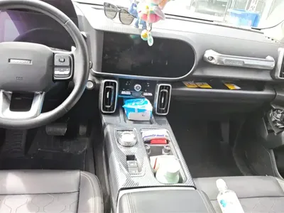 Haval Big Dog 2022, 58300 км, за 9429.92 USD - фото 16