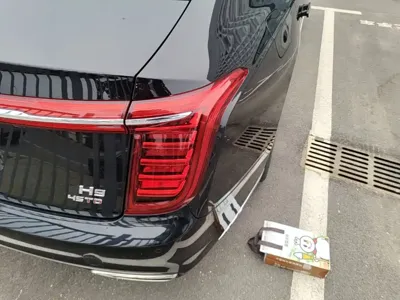 Hongqi Hongqi H9 2020, 82500 км, за 20262.93 USD - фото 8