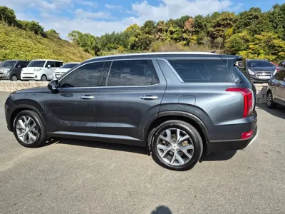 Hyundai Palisade 2019, 113024 км, за 14756.54 USD