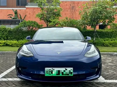 Tesla Model 3 2020, 41000 км, за 14684.82 USD