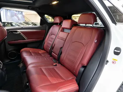 Lexus RX 2017, 34200 км, за 26235.37 USD - фото 12