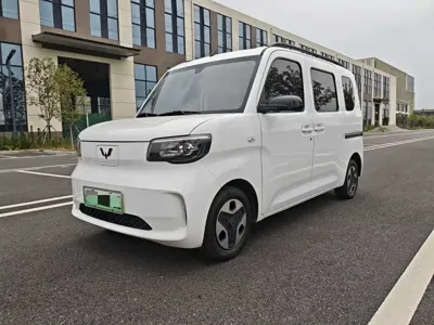 Wuling Zhiguang EV · 2025 год
