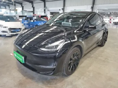 Tesla Model Y · 2021 год