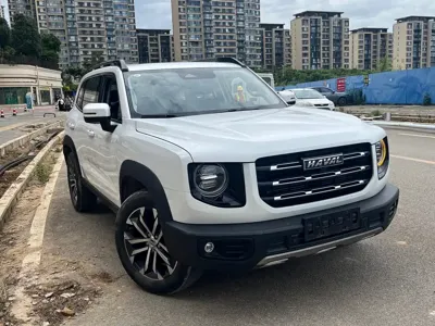 Haval Big Dog 2022, 50000 км, за 10698.04 USD