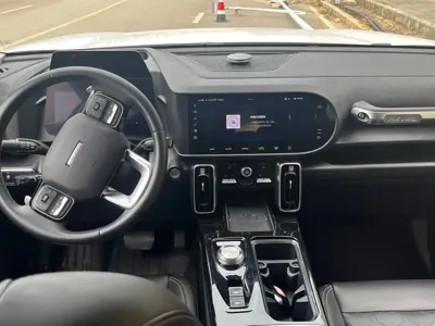 Haval Big Dog 2022, 50000 км, за 10682.33 USD - фото 12