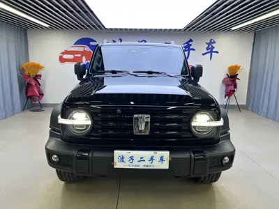 Tank Tank 300 2023, 55000 км, за 22104.36 USD
