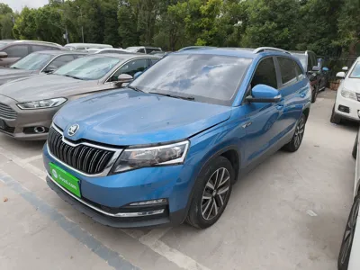 Skoda Kamiq · 2021 год