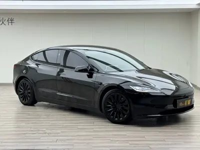 Tesla Model 3 · 2023 год