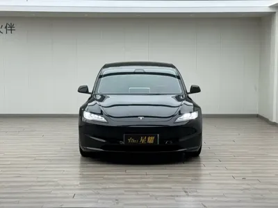Tesla Model 3 2023, 74000 км, за 23545.34 USD