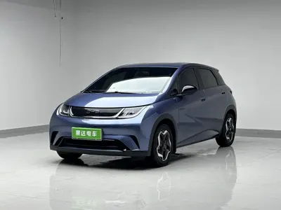 BYD Dolphin · 2025 год