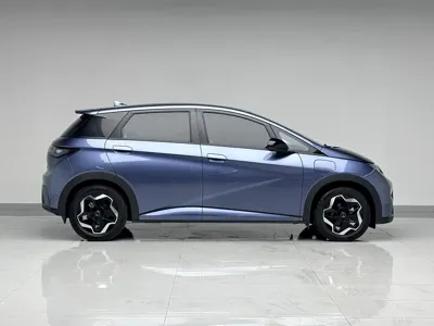 BYD Dolphin 2025, 25000 км, за 10004.51 USD