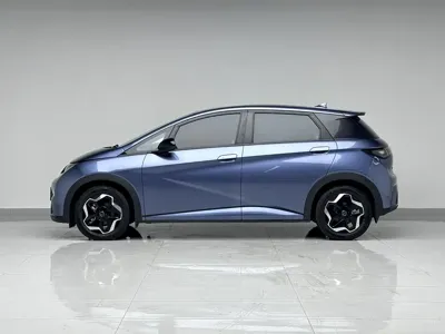 BYD Dolphin 2025, 25000 км, за 10004.51 USD - фото 8