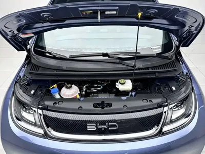 BYD Dolphin 2025, 25000 км, за 10004.51 USD - фото 15