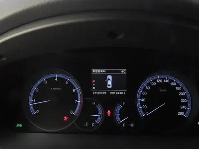 KG_Mobility_Ssangyong Chairman 2016, 234197 км, за 2560.06 USD - фото 8