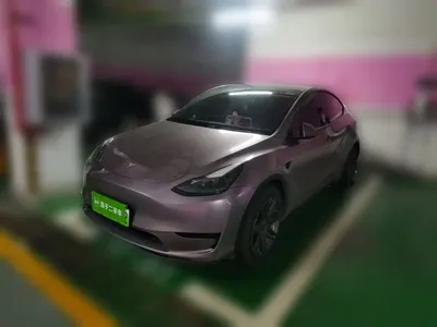 Tesla Model Y · 2023 год