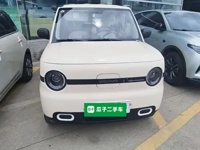 Galaxy Panda 2025, 3500 км, за 5650.27 USD