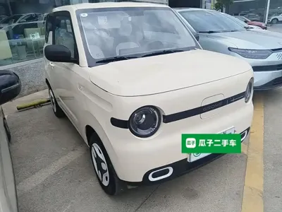 Galaxy Panda 2025, 3500 км, за 5650.27 USD