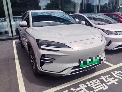 BYD PLUS New Energy · 2024 год